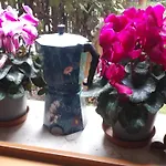L\'aura Veneziana